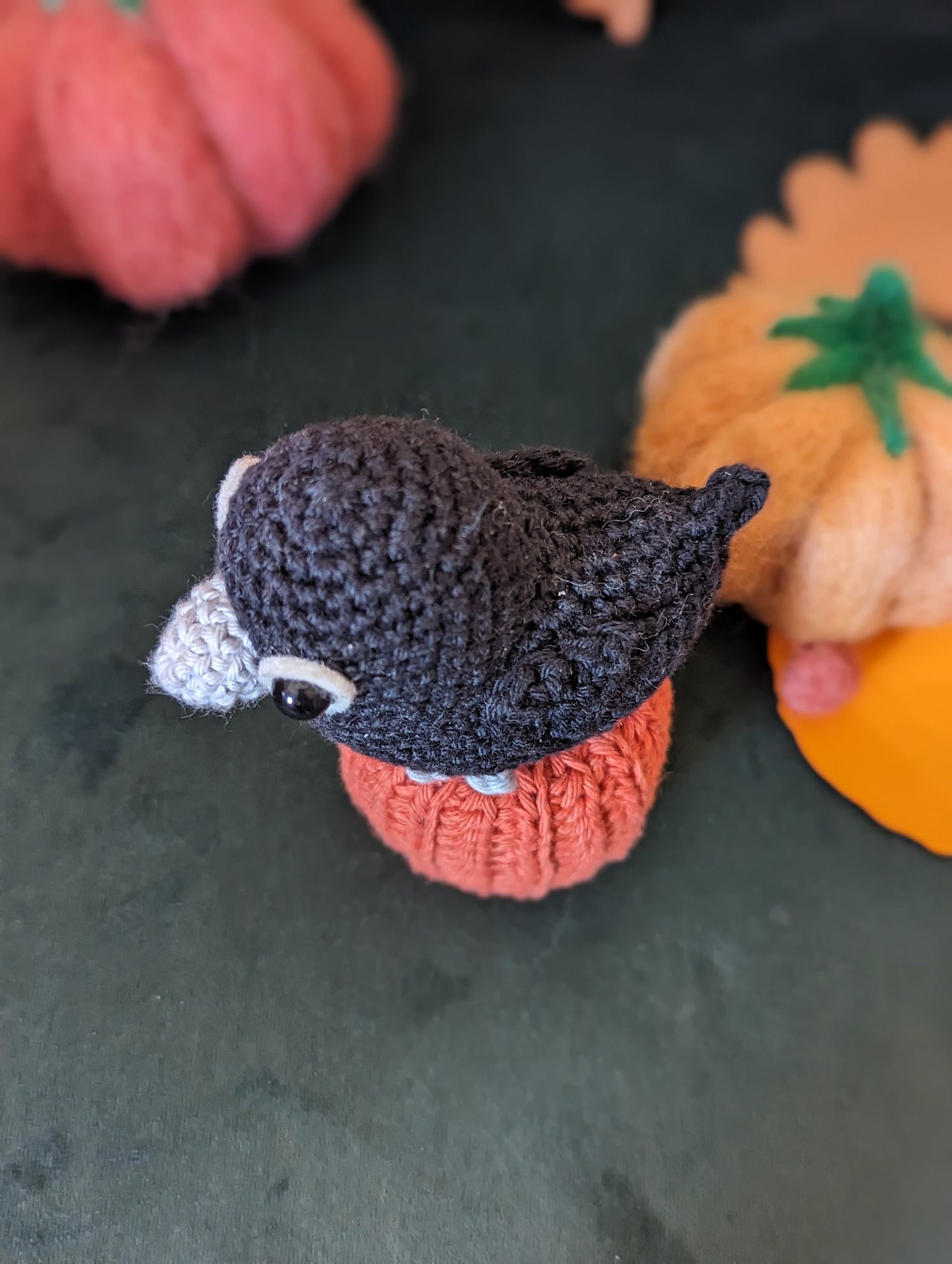 corbeau et sa ctirouille