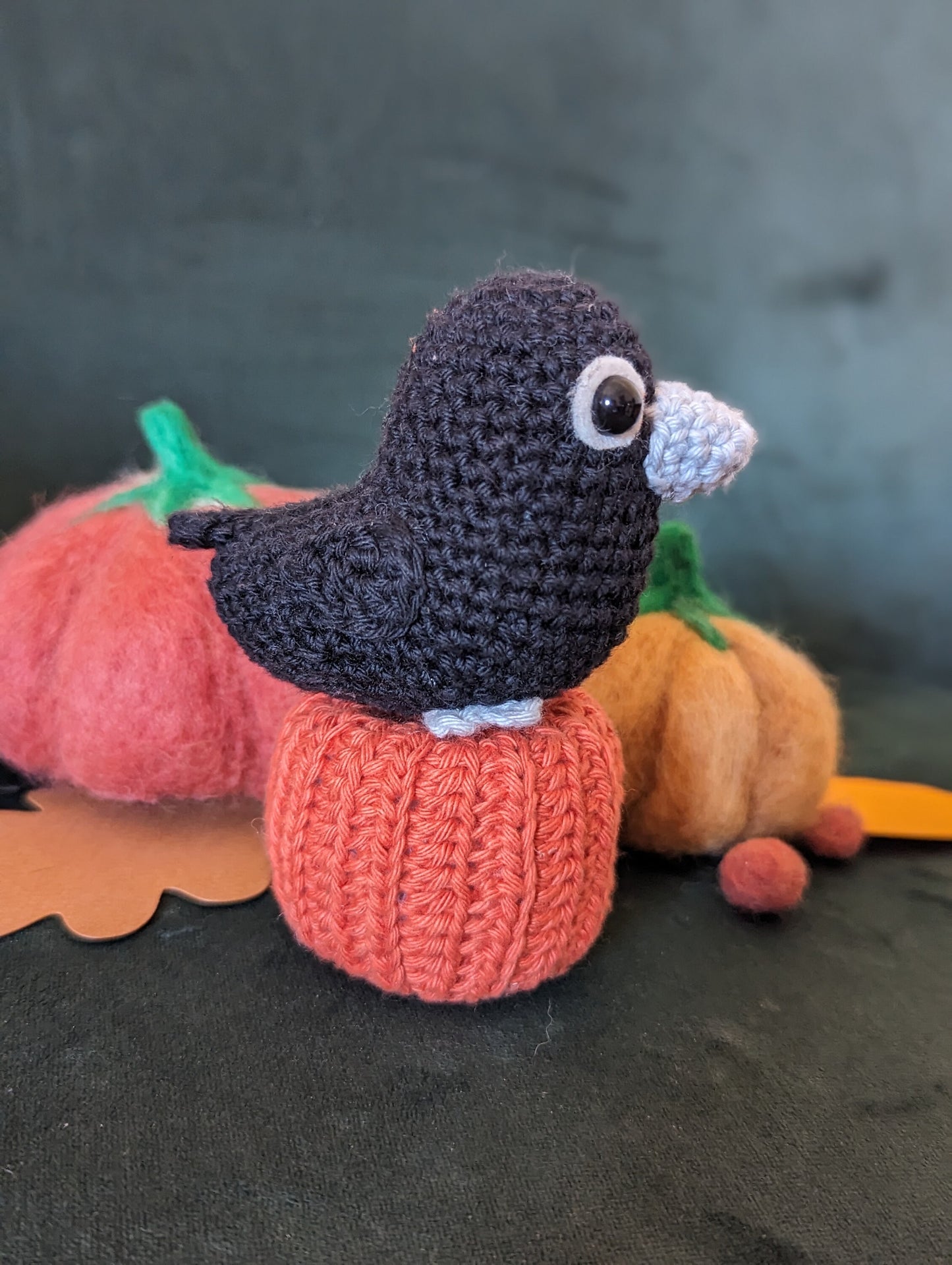 corbeau et sa ctirouille